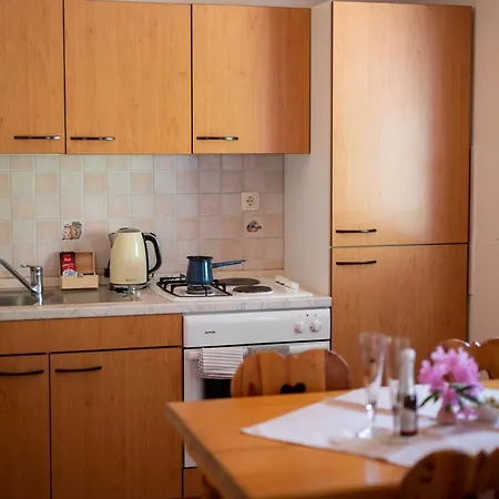 Domacija Za Robom Apartment Cerkno Room photo