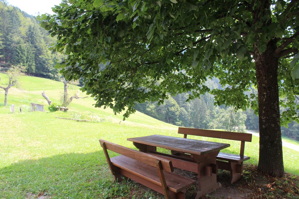 Domacija Za Robom * Cerkno
