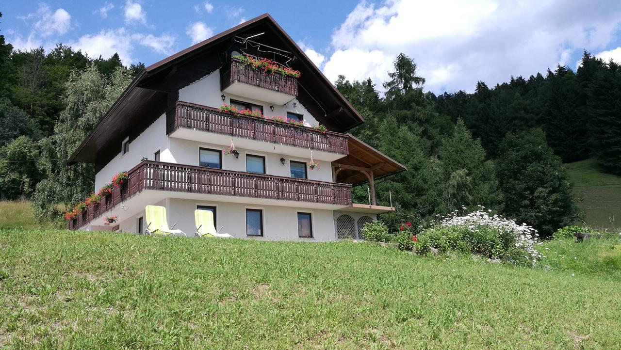 Appartement Domacija Za Robom Cerkno