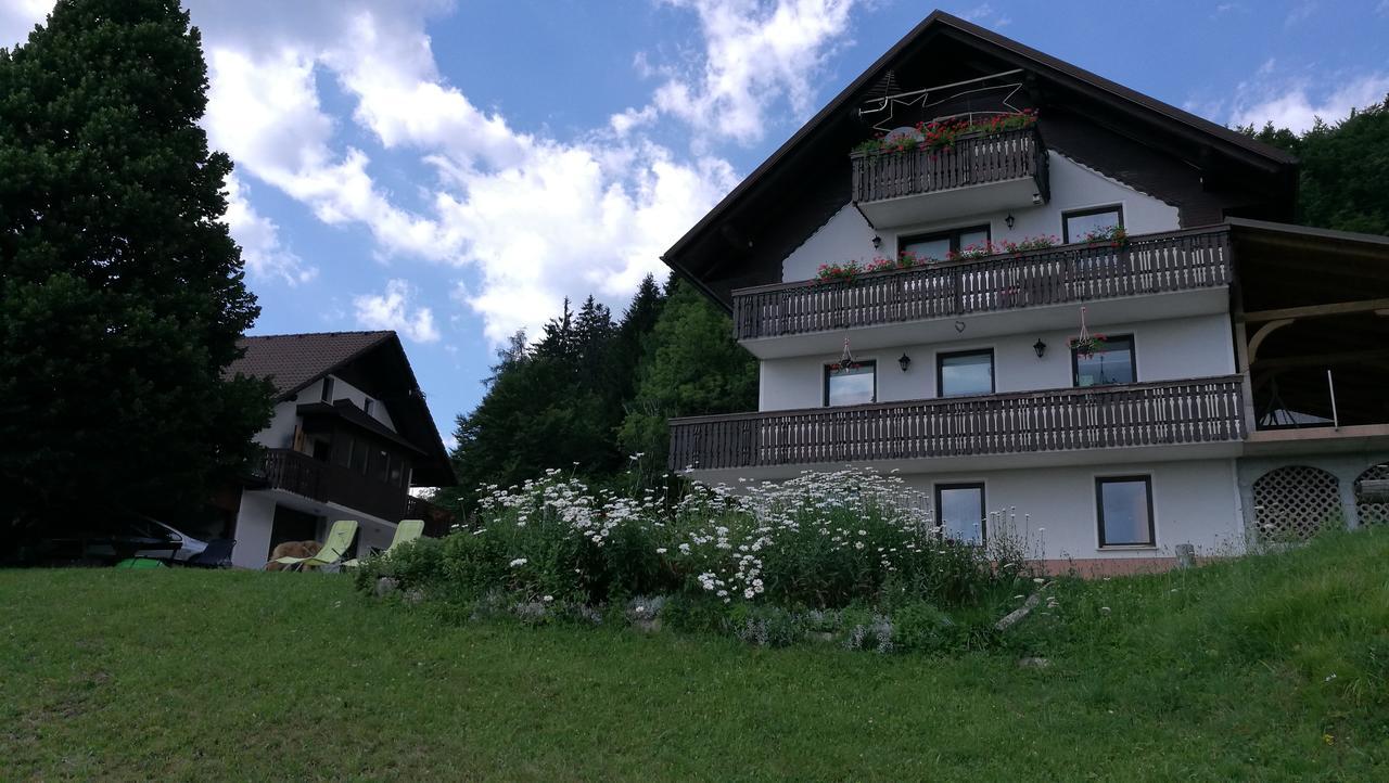 Appartement Domacija Za Robom Cerkno